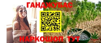 стаф Кандалакша