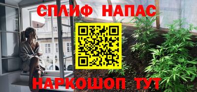 дурь Камышлов