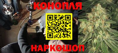 стаф Кандалакша