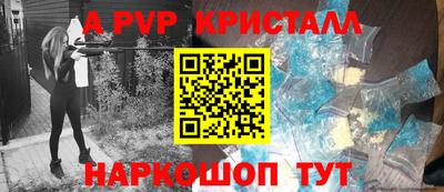 стаф Кандалакша