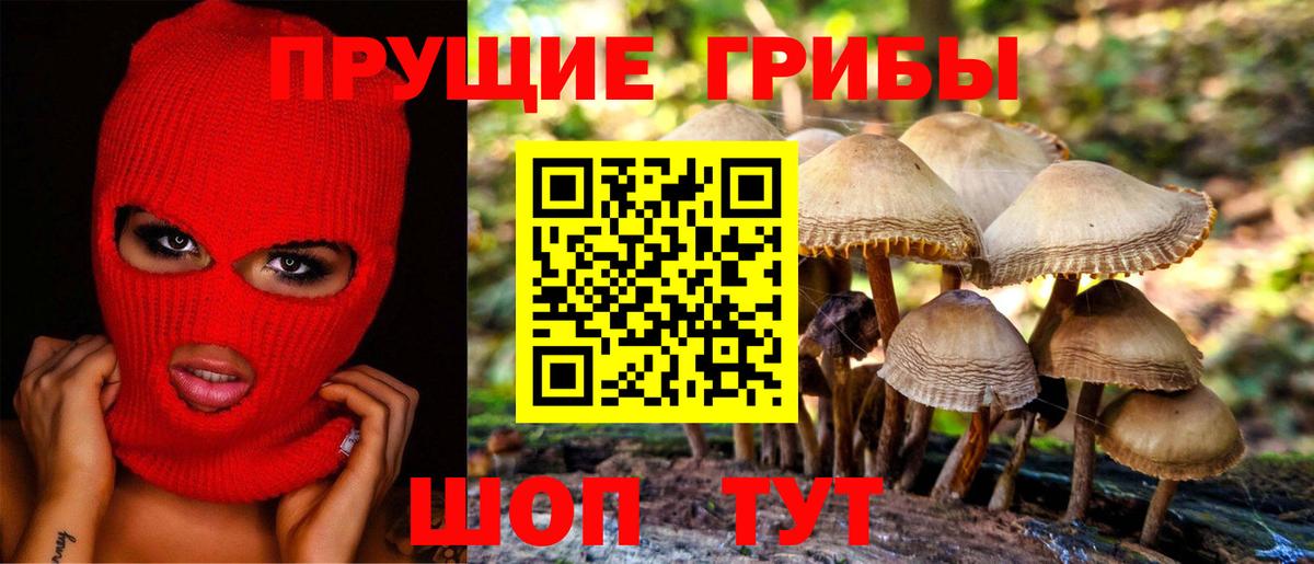 Галлюциногенные грибы Cubensis Костомукша